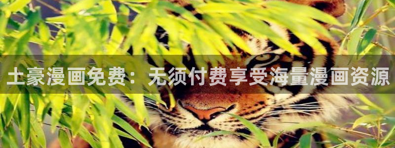 韩漫app